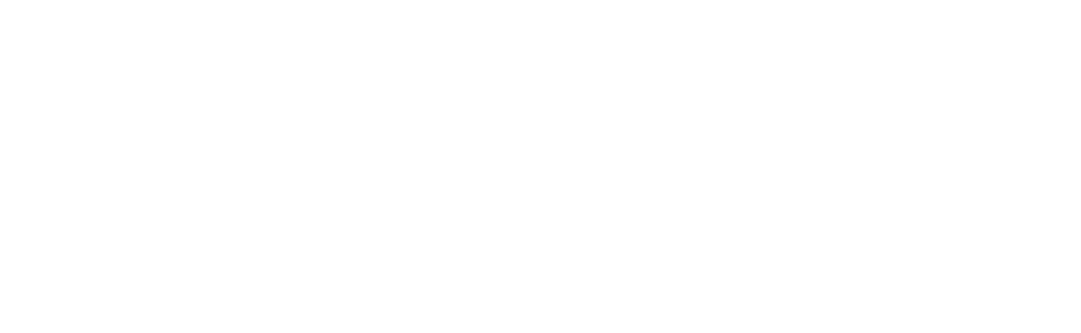 Your Company